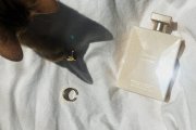 A MrsCAThy-ról